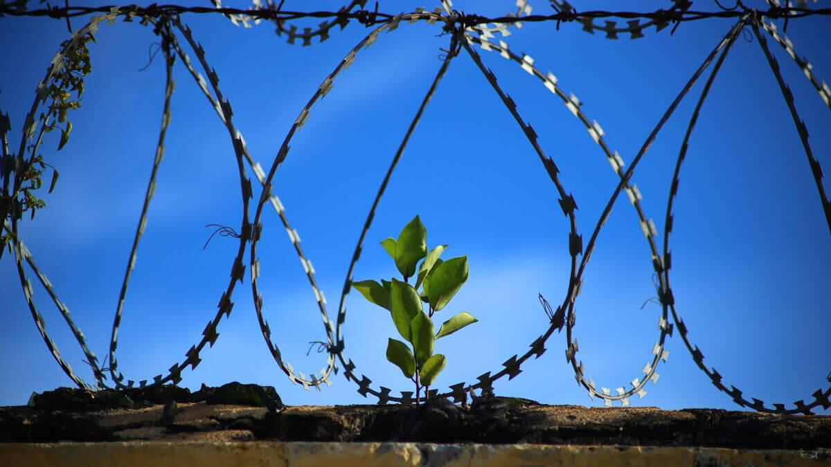 車禍過失致死判例:律師協助和解,免入獄,大幅降低8成賠償金