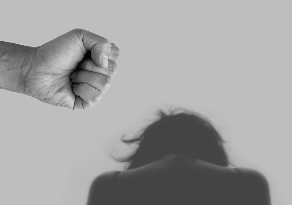 【扶養費判決】戰勝家暴夫!勇母委律師成功爭取單獨監護及扶養費!