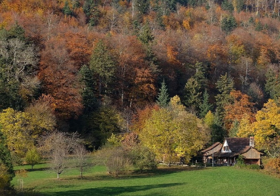 佔用他人土地怎麼告?土地佔用有哪些法律依據可管?