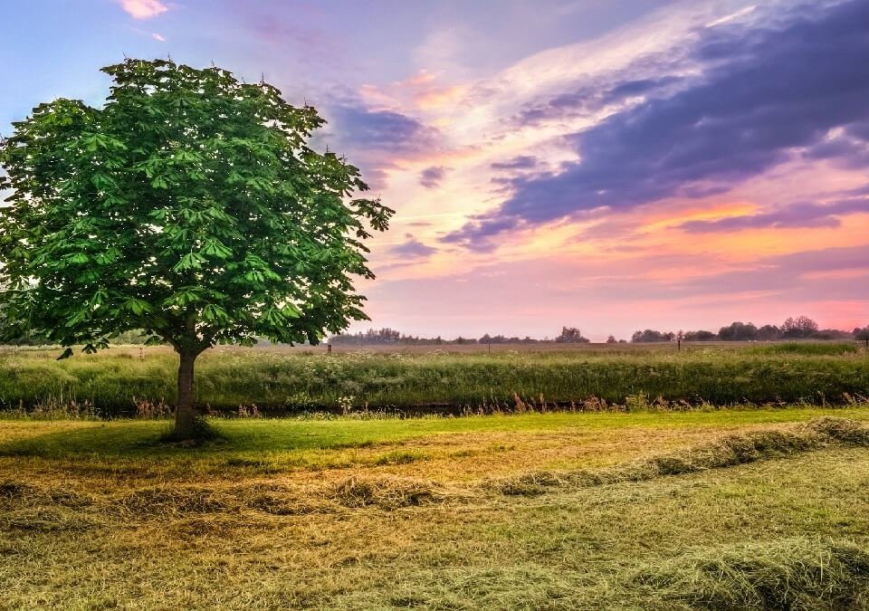 共有土地分割糾紛怎麼處理?如何找回被竊佔的權益?