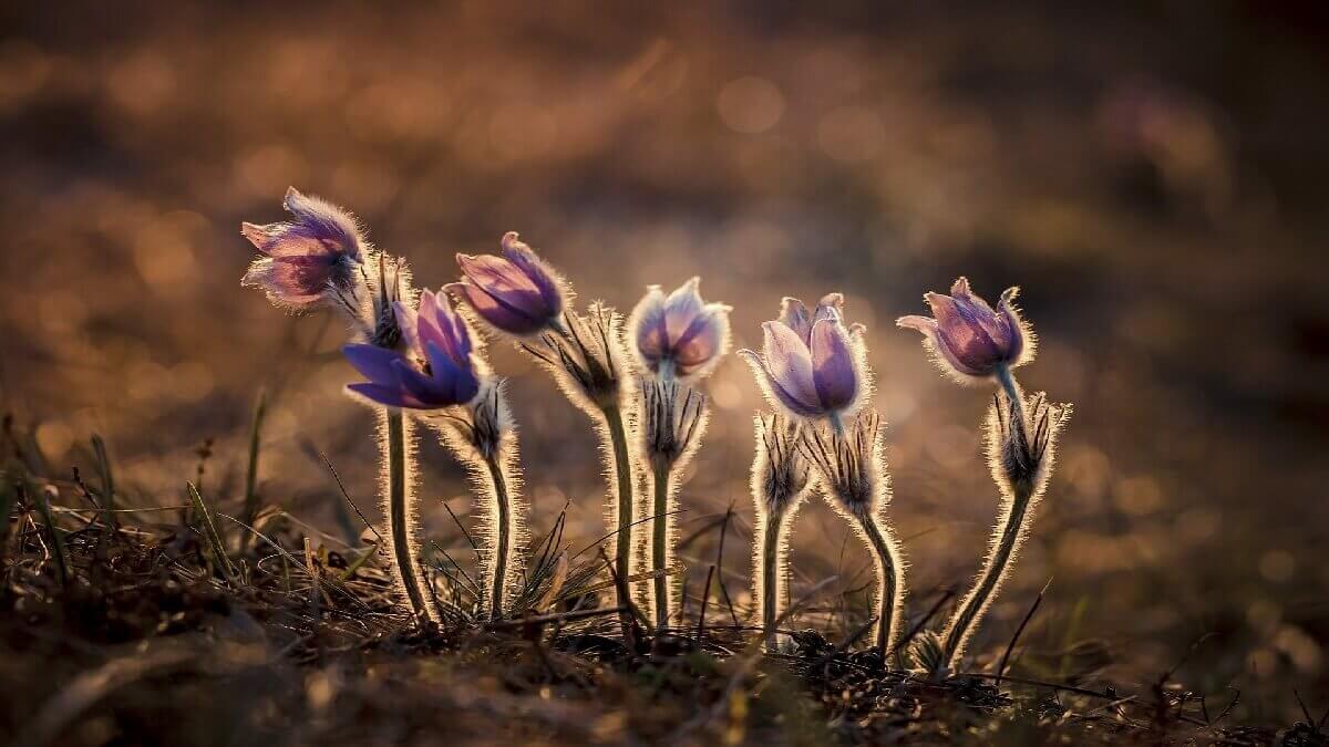 好心金援，分手後竟翻臉不認帳，委嘉義律師聲請支付命令討借款