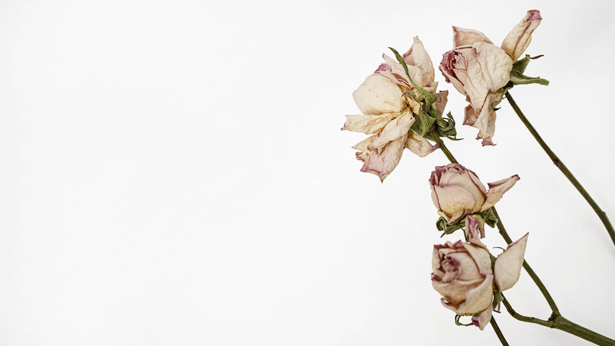 性犯罪如何防治?先搞懂性侵害防制法與條例內容