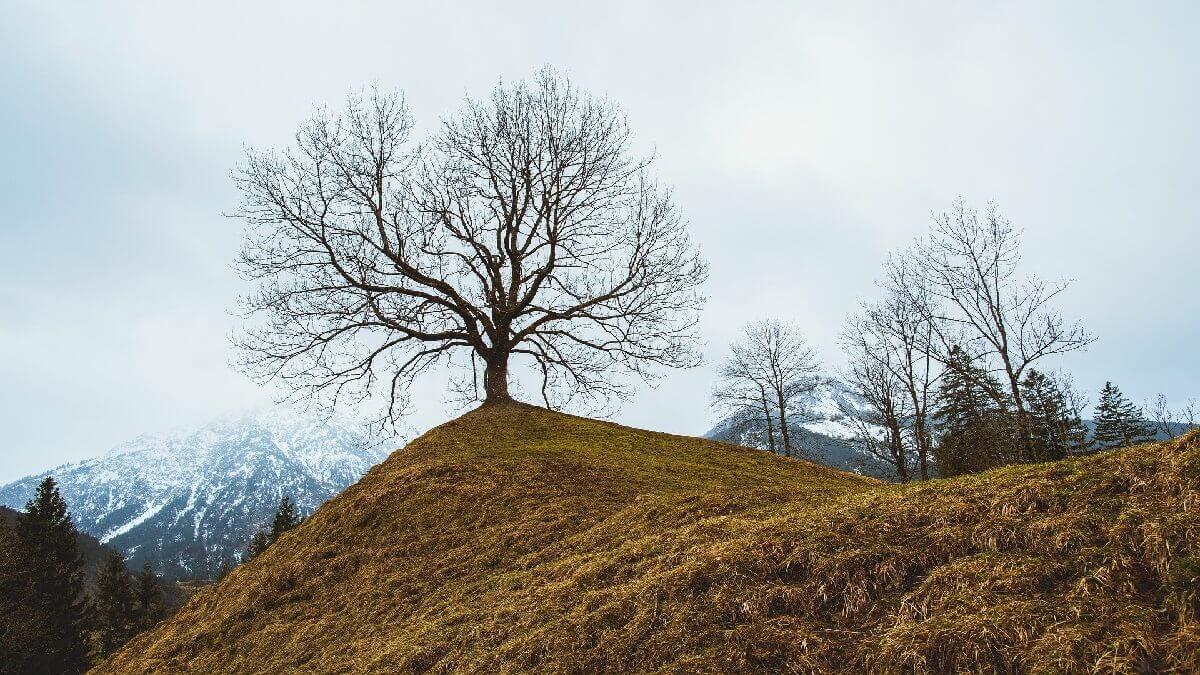 公務員轉讓毒品憂工作不保,急委任台北毒品律師上訴爭取緩刑